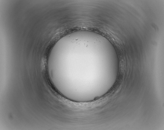 X0000115810038200912041616