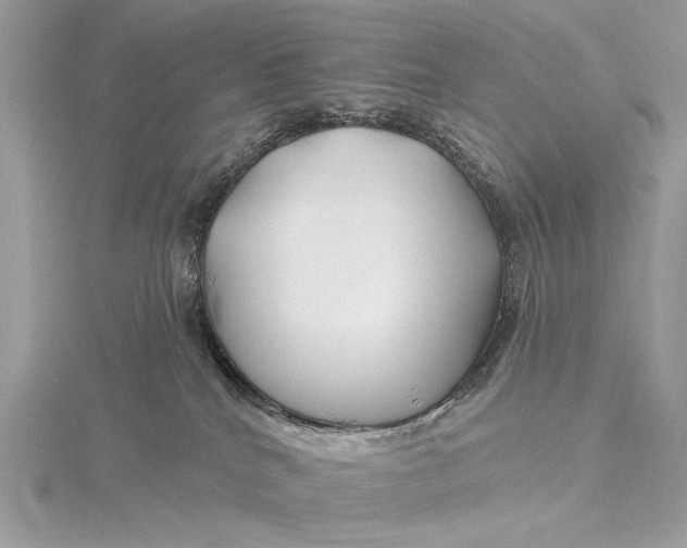 X0000115810040200912041616