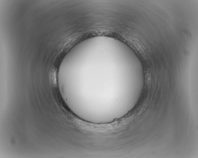 X0000115810042200912041616