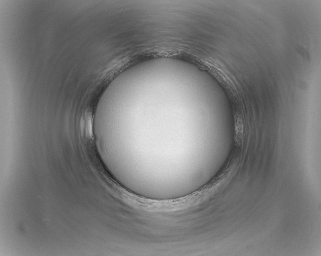X0000115810046200912041616