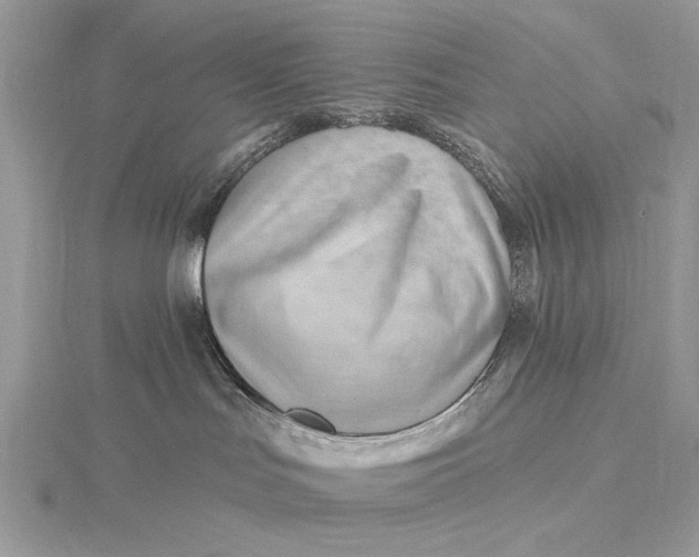 X0000115810047200912041616