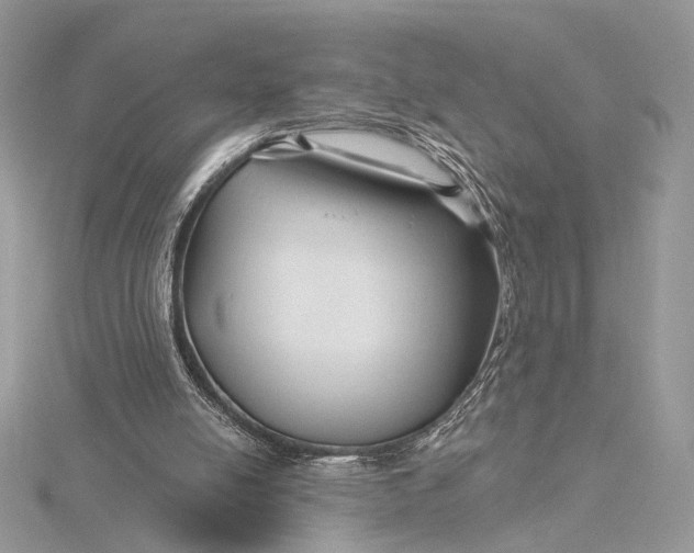 X0000115810054200912041615