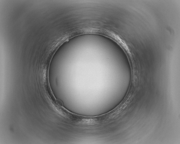 X0000115810057200912041615