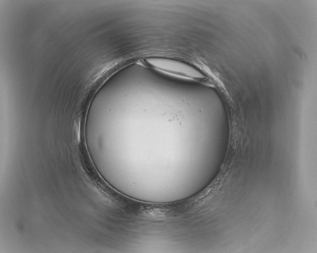 X0000115810062200912041615