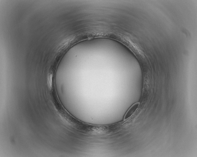 X0000115810070200912041615