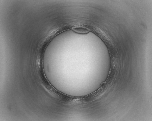 X0000115810072200912041615