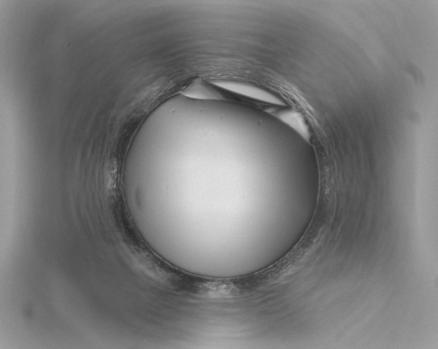 X0000115810073200912041615