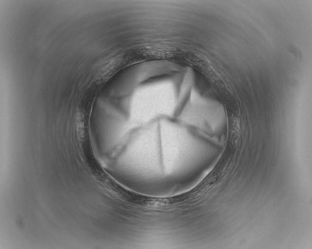 X0000115810080200912041615