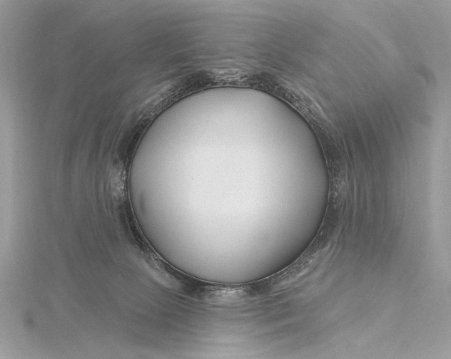 X0000115810081200912041615