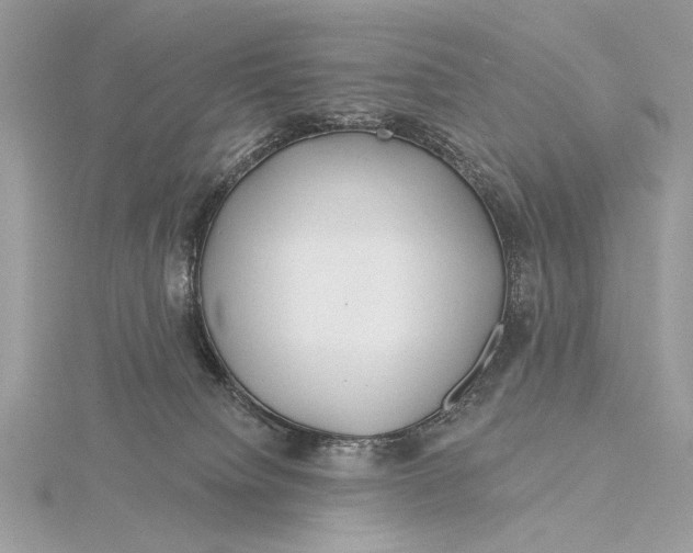 X0000115810084200912041616