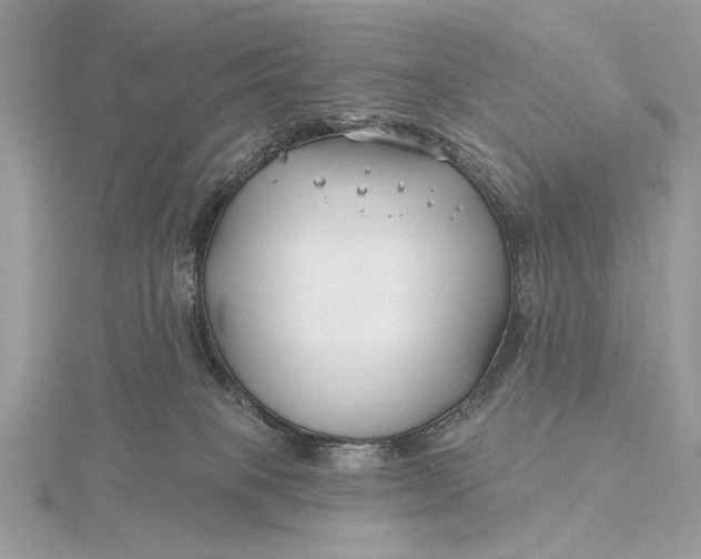 X0000115810085200912041616