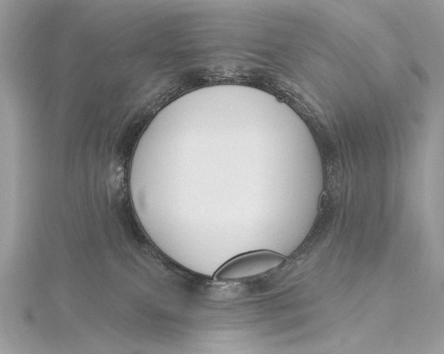 X0000115810087200912041616