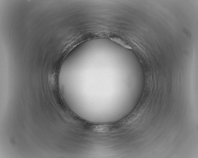 X0000115810088200912041616