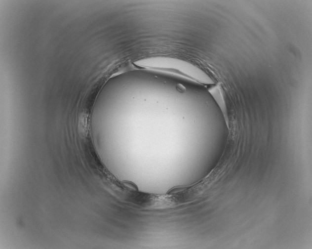 X0000115810093200912041616