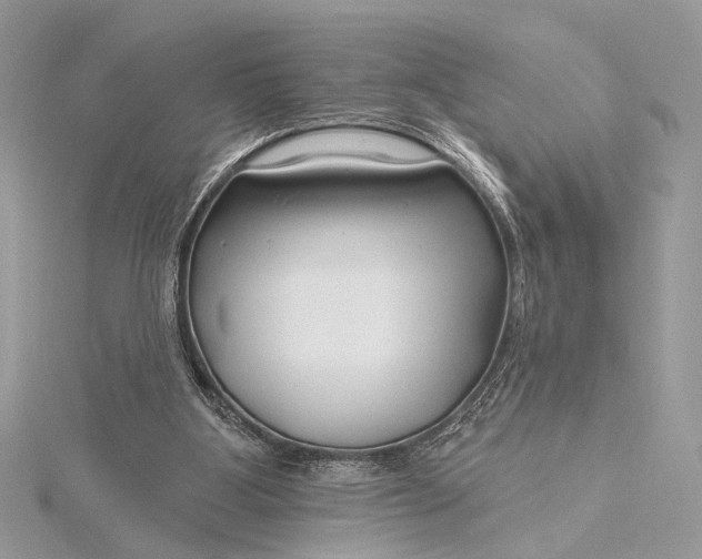 X0000115810107200912041615