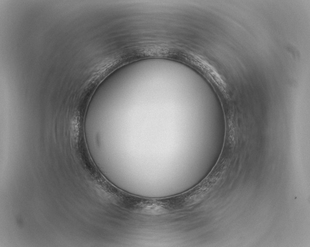 X0000115810113200912041615