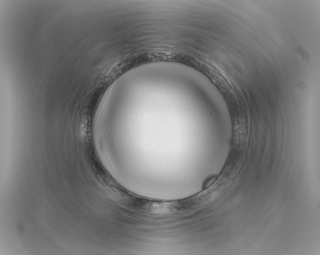 X0000115810134200912041615