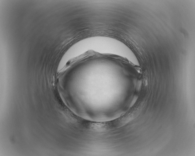 X0000115810139200912041615