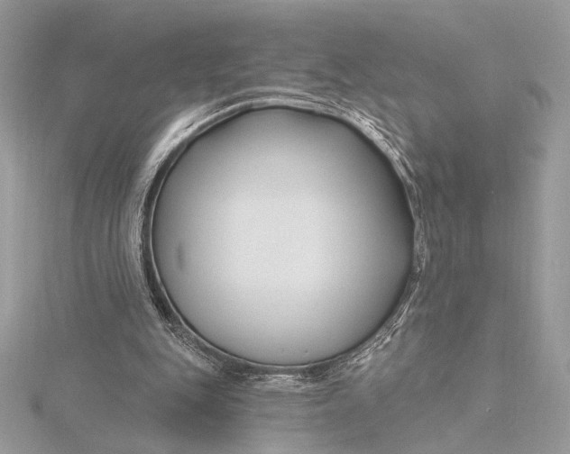 X0000115810151200912041614