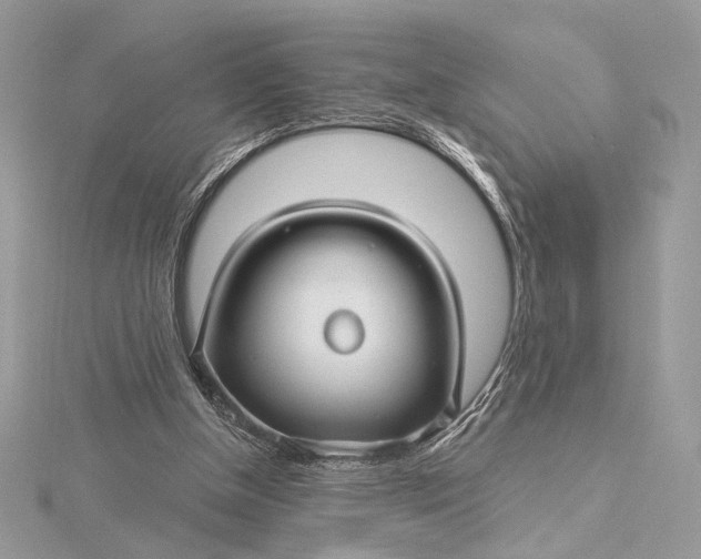X0000115810154200912041614