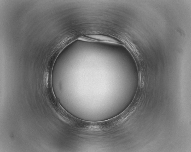 X0000115810157200912041614