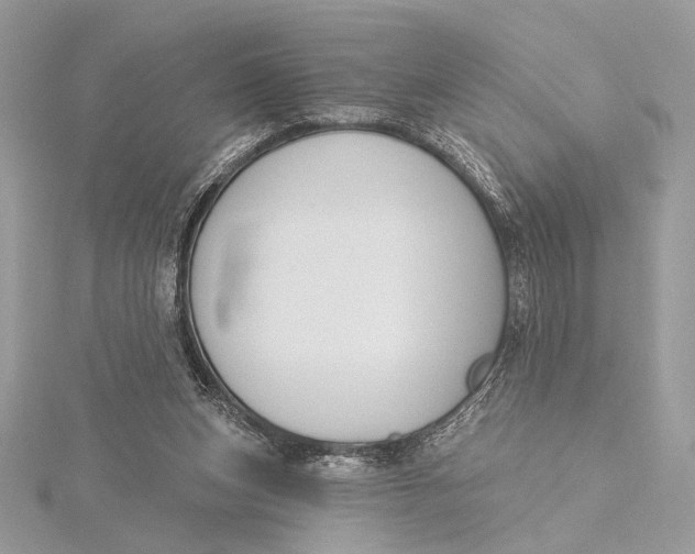 X0000115810159200912041614