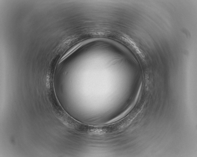 X0000115810161200912041614