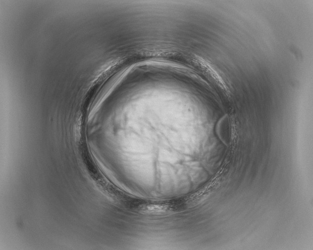 X0000115810163200912041614