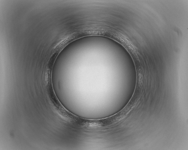 X0000115810165200912041614