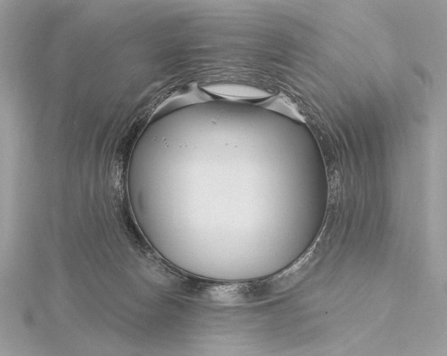 X0000115810178200912041614