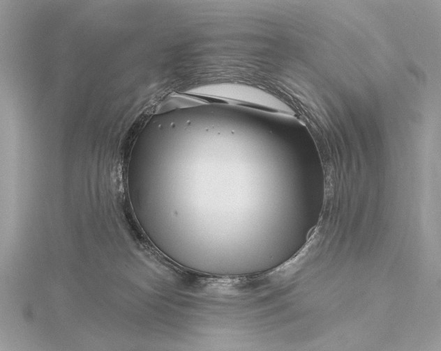 X0000115810182200912041614