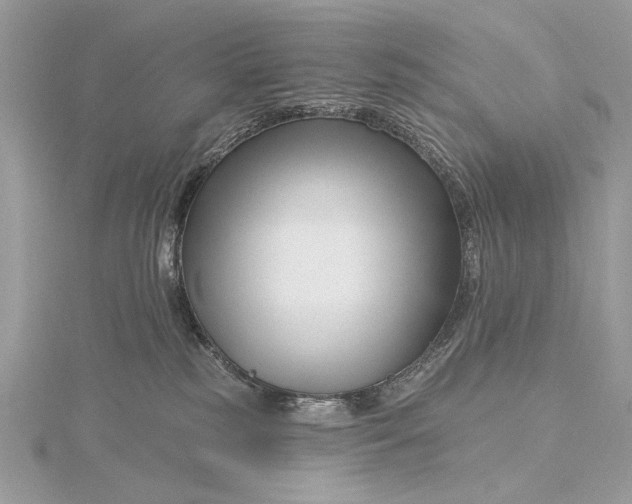 X0000115810185200912041614