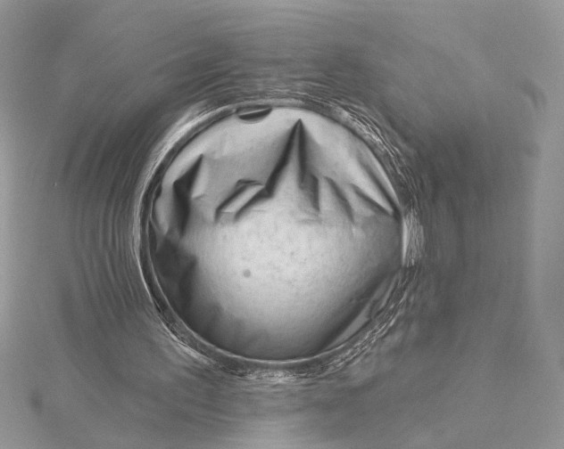 X0000115810195200912041614