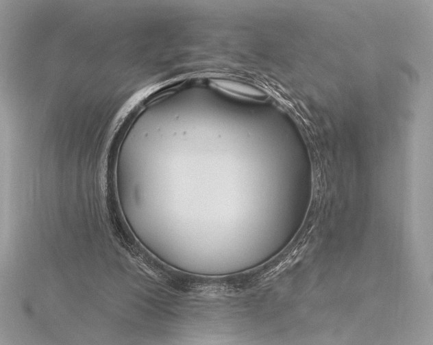 X0000115810200200912041614