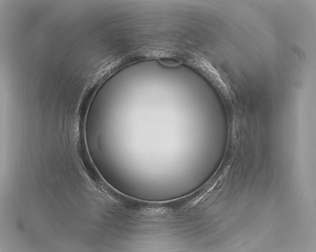 X0000115810202200912041614