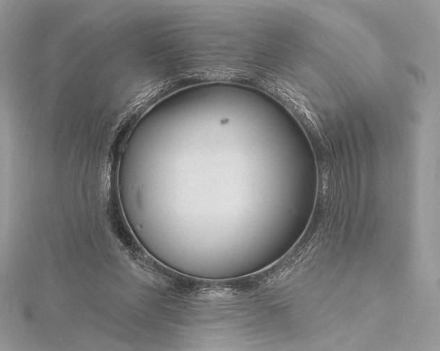 X0000115810206200912041614