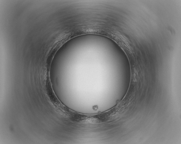 X0000115810210200912041614