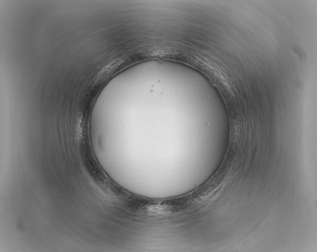 X0000115810216200912041614