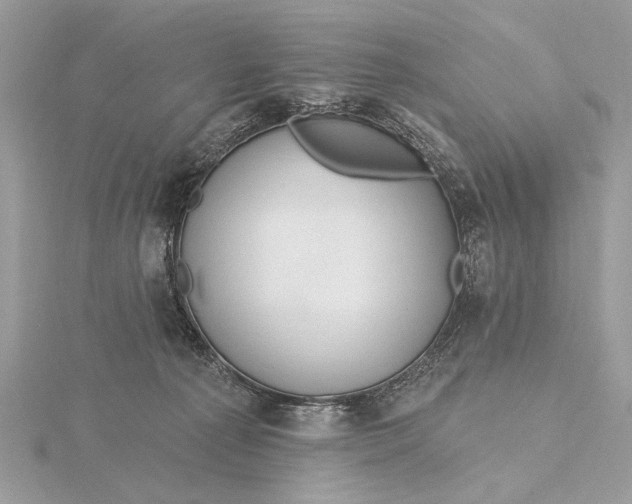 X0000115810225200912041613