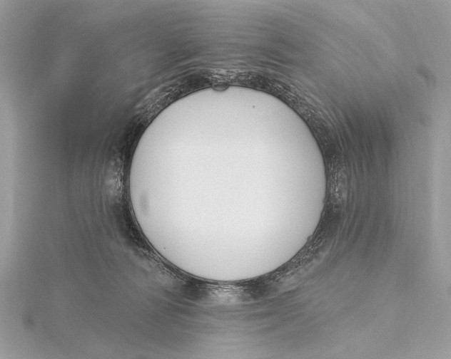 X0000115810226200912041613
