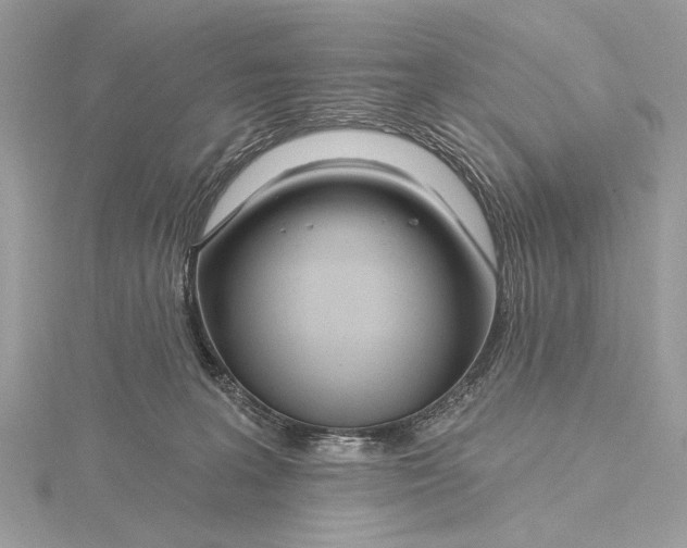 X0000115810227200912041613