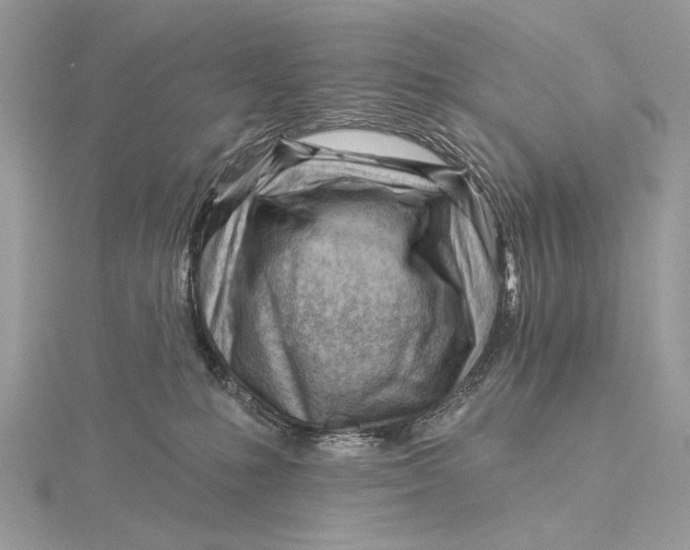 X0000115810231200912041613