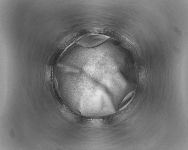 X0000115810233200912041613