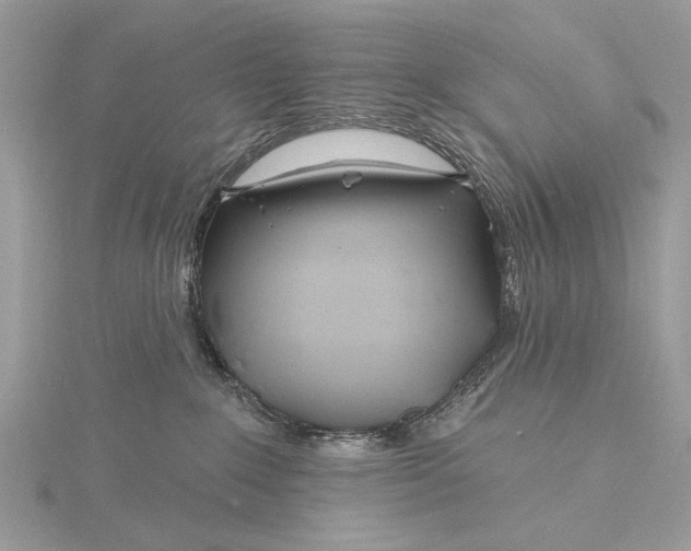 X0000115810235200912041613