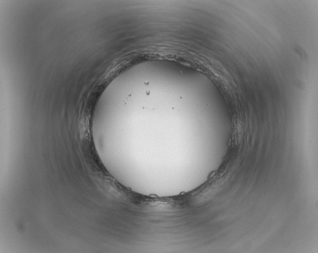 X0000115810236200912041613