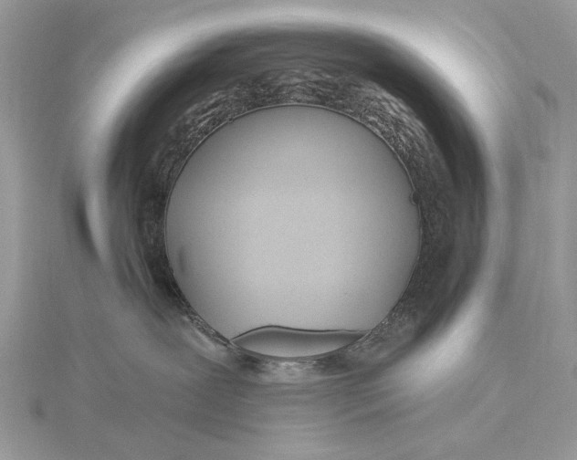 X0000115810239200912041613