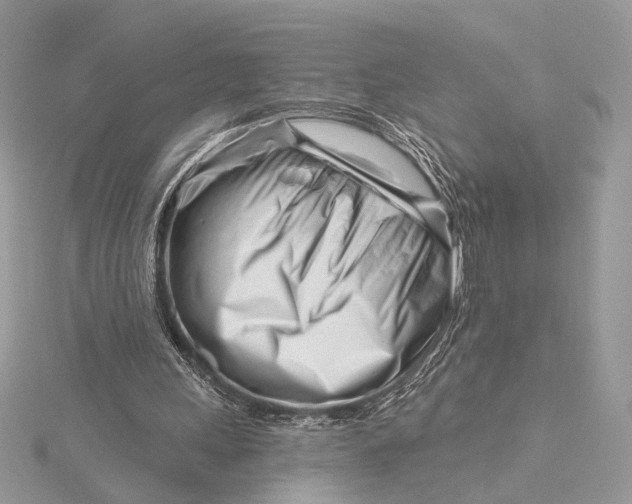 X0000115810243200912041612