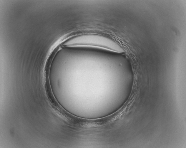 X0000115810246200912041612