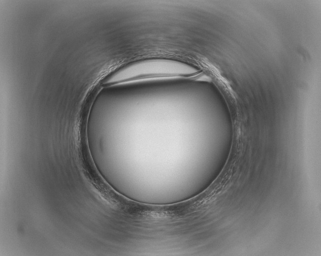 X0000115810250200912041613