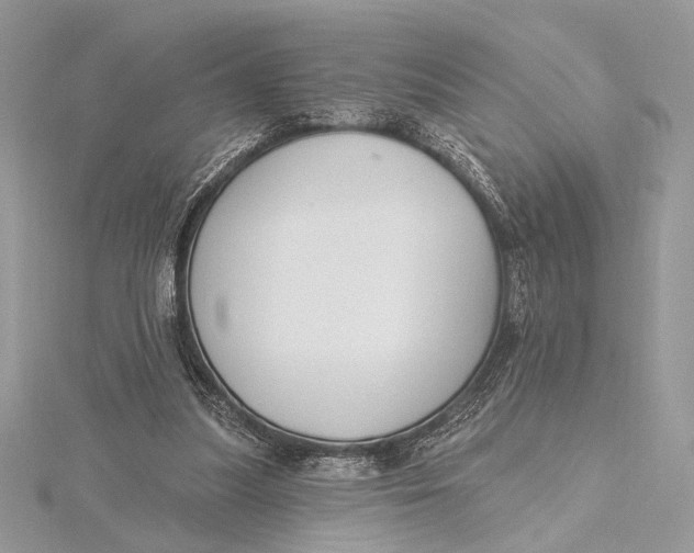 X0000115810251200912041613